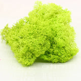 20G Natural Moss Artificial Plant Eternal Moss Home Garden Decoration DIY Flower Material Micro Landscape Accessories