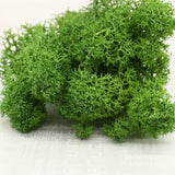 20G Natural Moss Artificial Plant Eternal Moss Home Garden Decoration DIY Flower Material Micro Landscape Accessories