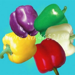 Hot Chili Carolina Reaper Organic Outdoor Vegetable Rainbow Bell Ghost Pepper Home Garden for Flower Pot Planter 100 pcs / bag