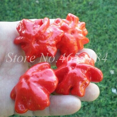 Hot Chili Carolina Reaper Organic Outdoor Vegetable Rainbow Bell Ghost Pepper Home Garden for Flower Pot Planter 100 pcs / bag